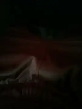 Im_PapiDar的直播畫面