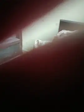 Lusty_trailer