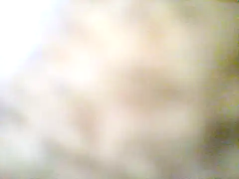 kikevt197501 live cam on Stripchat
