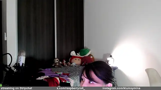 raspberryroll webcam