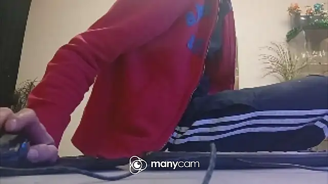 der_dino30