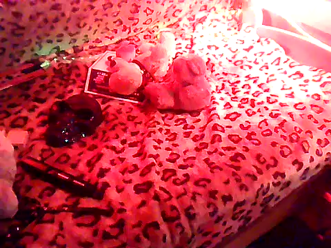 PaPPasi2 webcam