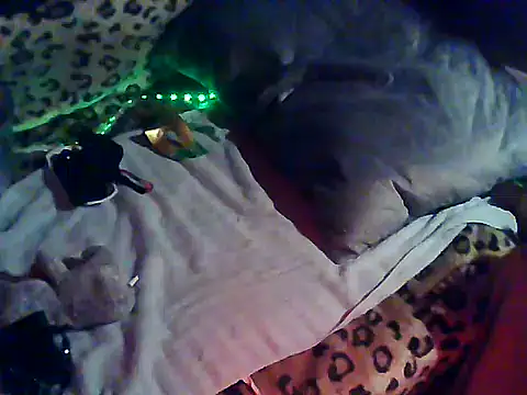 PaPPasi2