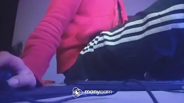 der_dino30